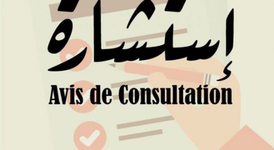 Avis Consultation PAQ-DGSE2022